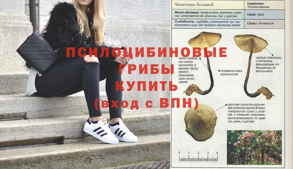 а пвп мука Горно-Алтайск