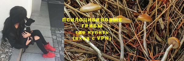 метадон Архангельск