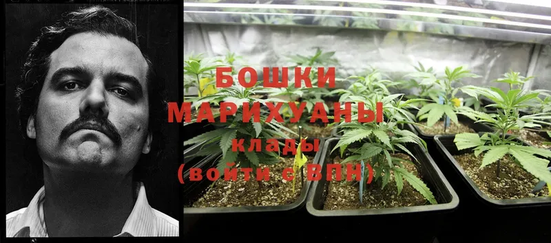 Марихуана THC 21%  Горбатов 